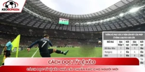 Cách đọc tỷ lệ kèo